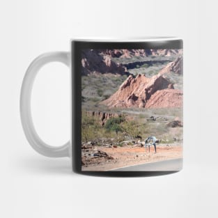 Argentine - Quebrada de las Conchas Mug